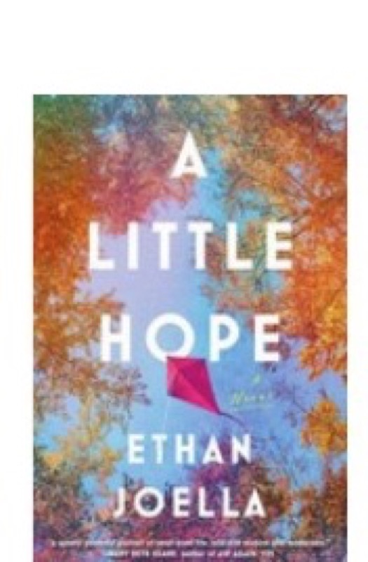 Cover of A Little Hope