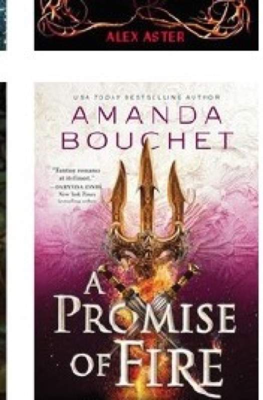 Cover of A Promise of Fire