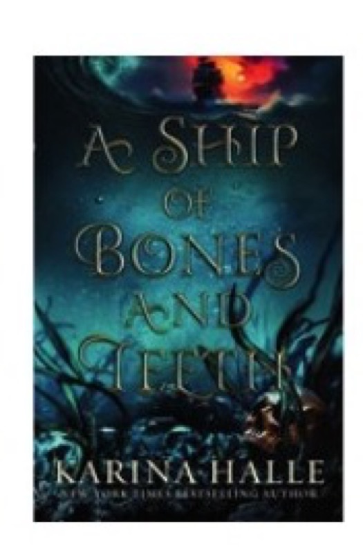 Cover of A Ship of Bones and Teeth