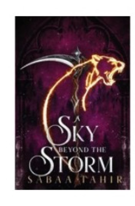 Cover of A Sky Beyond the Storm