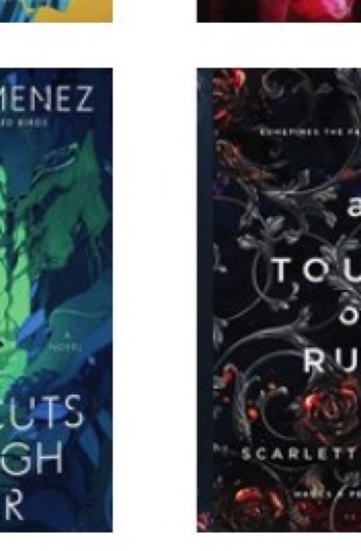 Cover of A Touch of Ruin