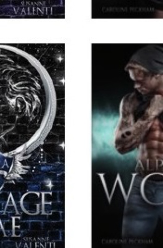 Cover of Alpha Wolf