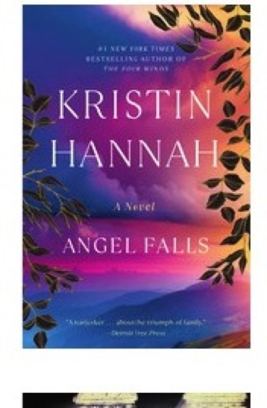 Cover of Angel Falls