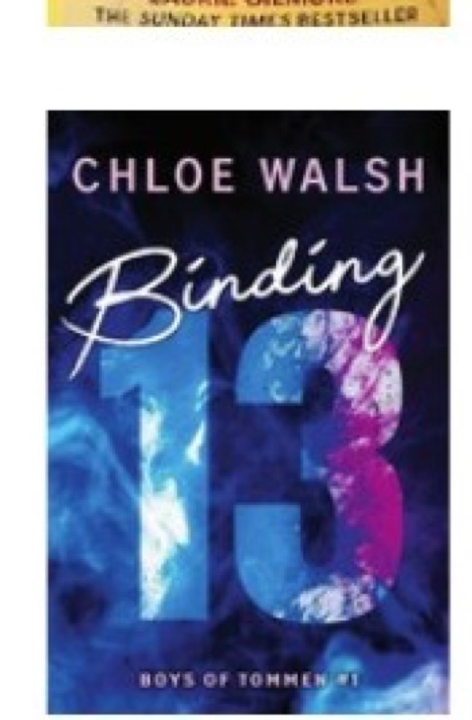 Cover of Binding 13