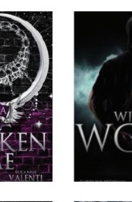 Cover of Broken Fae