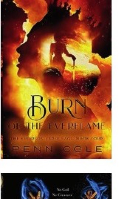 Cover of Burn of the Everflame