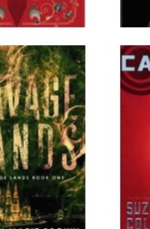 Cover of Catching Fire