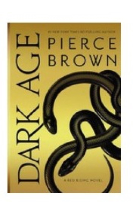 Cover of Dark Age