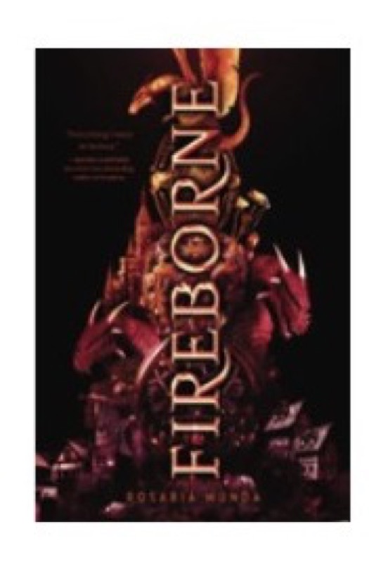 Cover of Fireborne