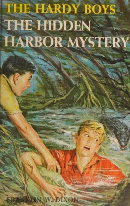 Cover of The Hidden Harbor Mystery