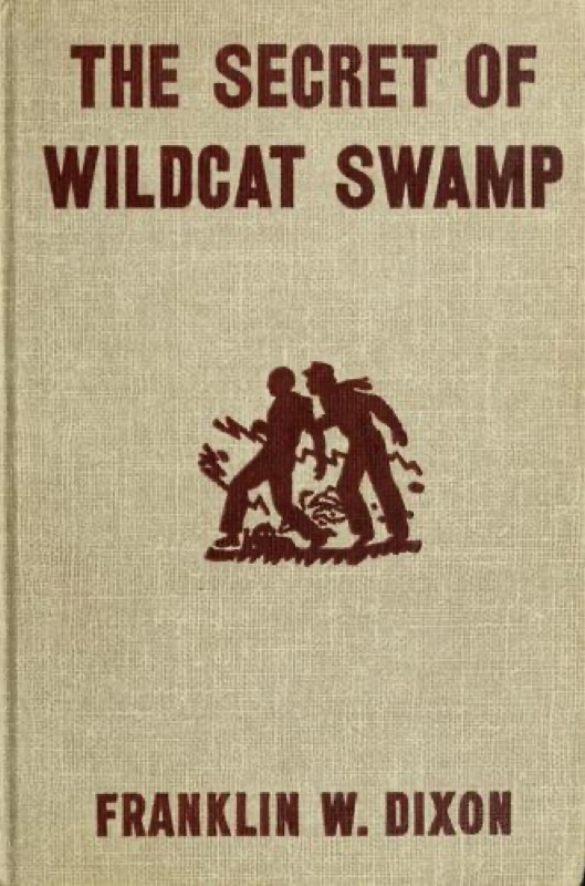 Cover of The Secret of Wildcat Swamp