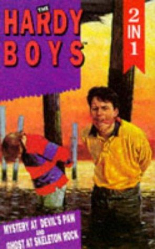 Cover of The Mystery at Devil's Paw