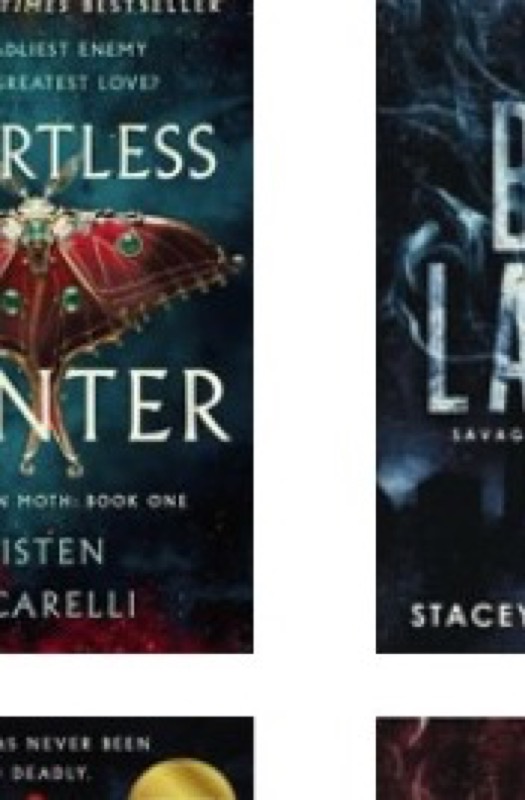 Cover of Heartless Hunter