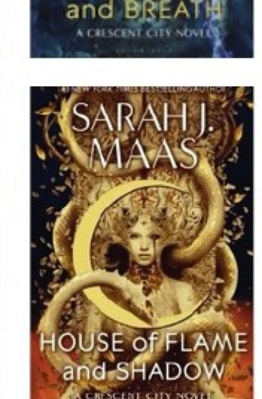 Cover of House of Flame and Shadow