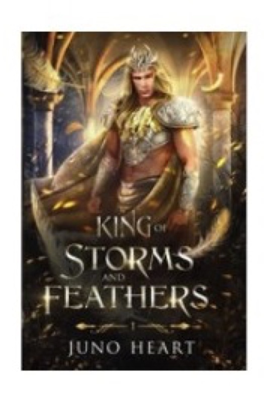 Cover of King of Storms and Feathers