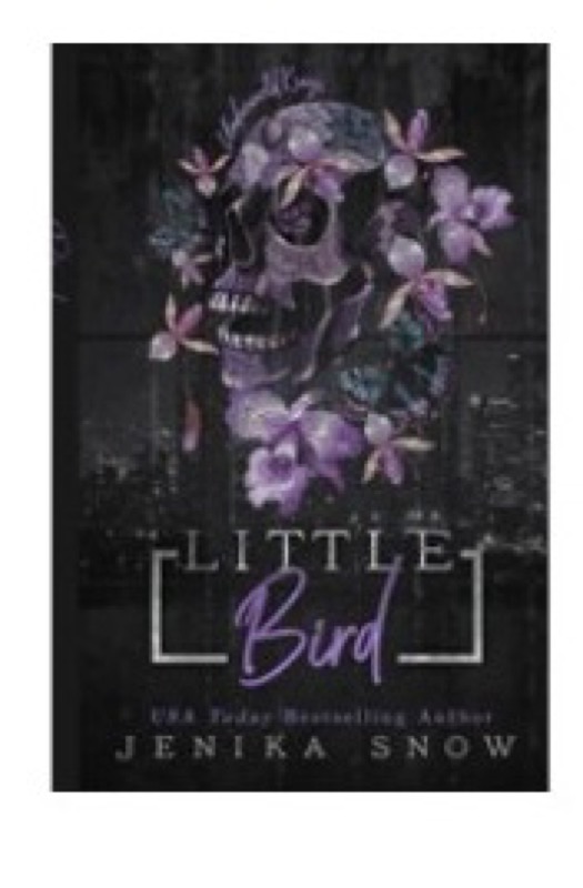 Cover of Little Bird