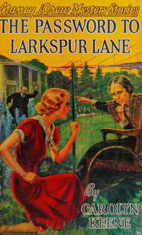 Cover of The Password to Larkspur Lane
