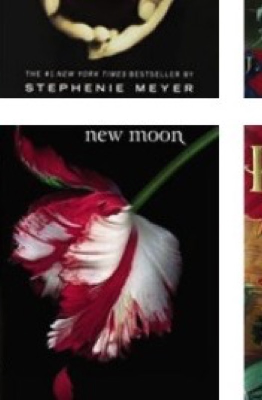 Cover of New Moon