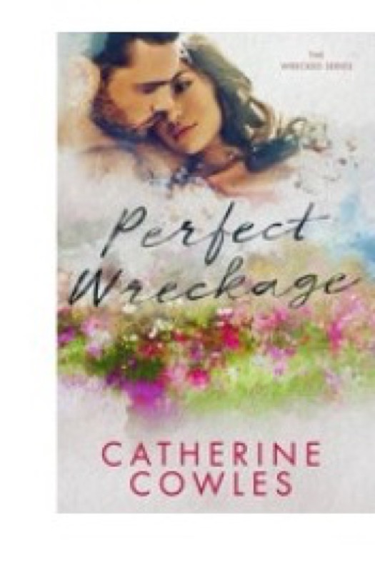 Cover of Perfect Wreckage