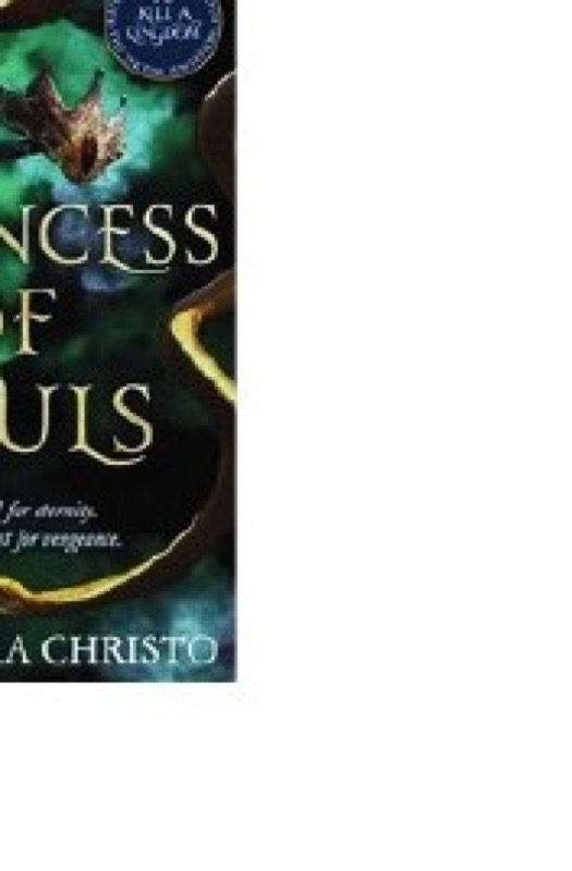Cover of Princess of Souls