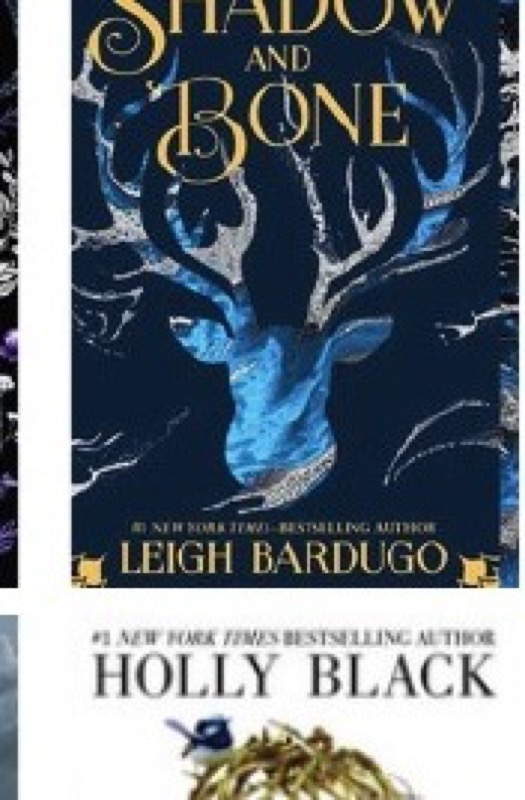 Cover of Shadow and Bone