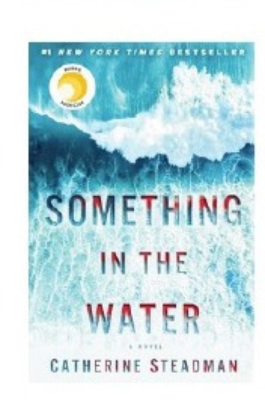 Cover of Something in the Water