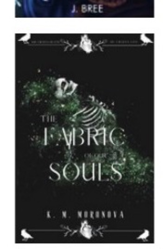 Cover of The Fabric of Our Souls
