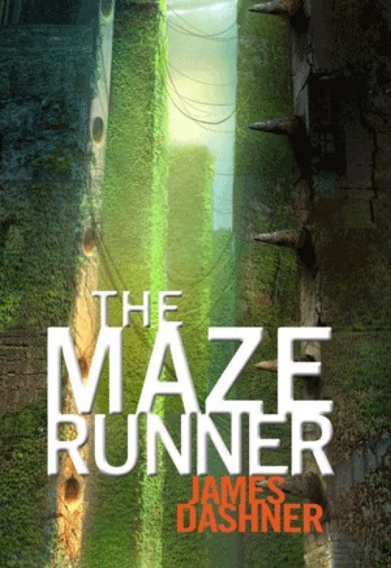 Cover of The Maze Runner (The Maze Runner, #1)