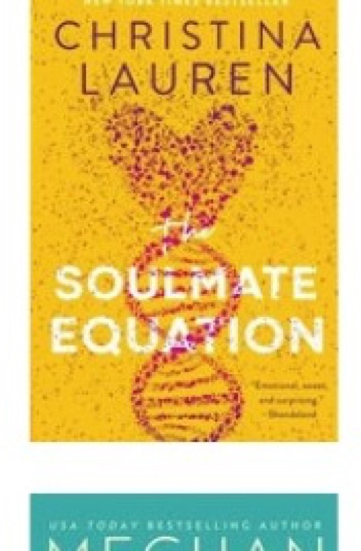 Cover of The Soulmate Equation