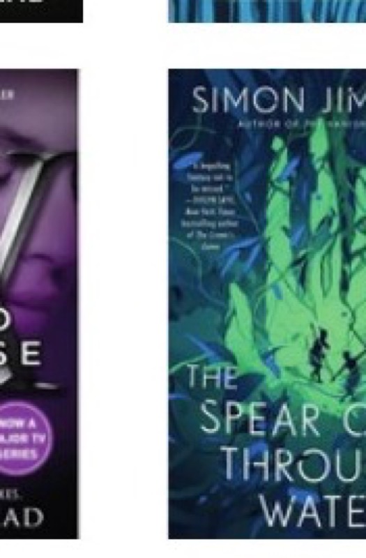 Cover of The Spear Cuts Through Water
