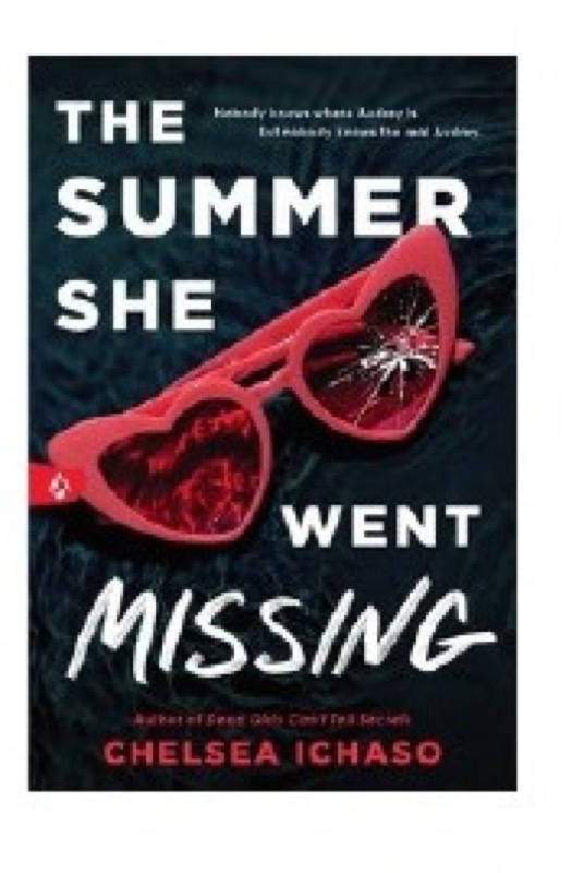 Cover of The Summer She Went Missing