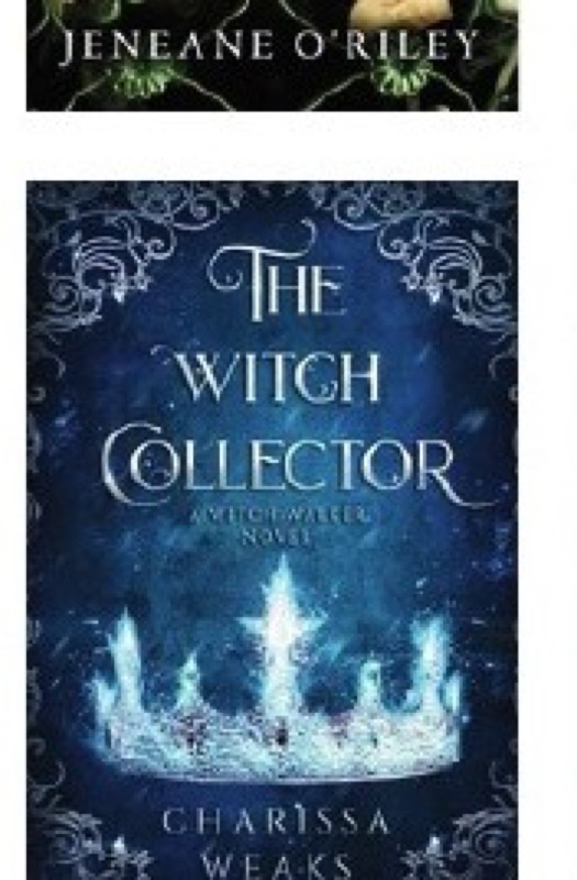 Cover of The Witch Collector