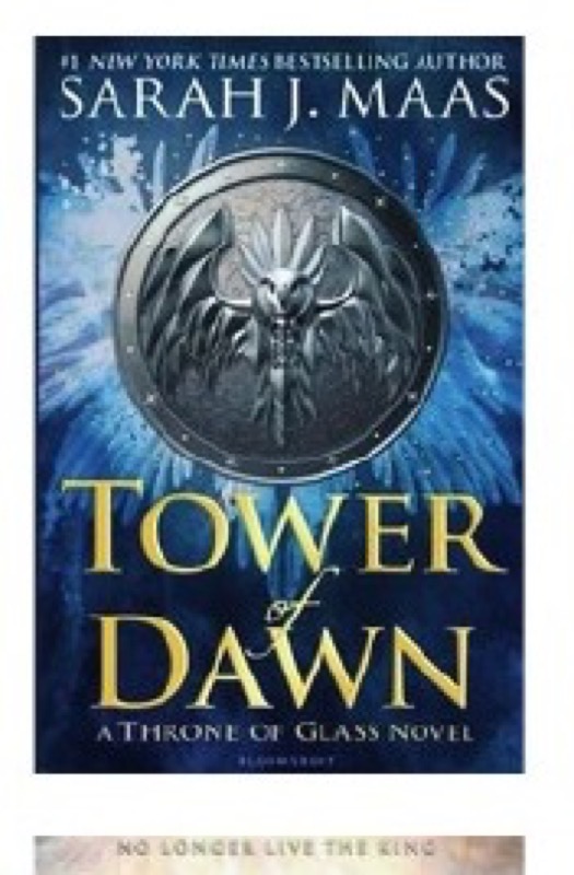 Cover of Tower of Dawn