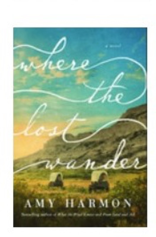 Cover of Where the Lost Wander