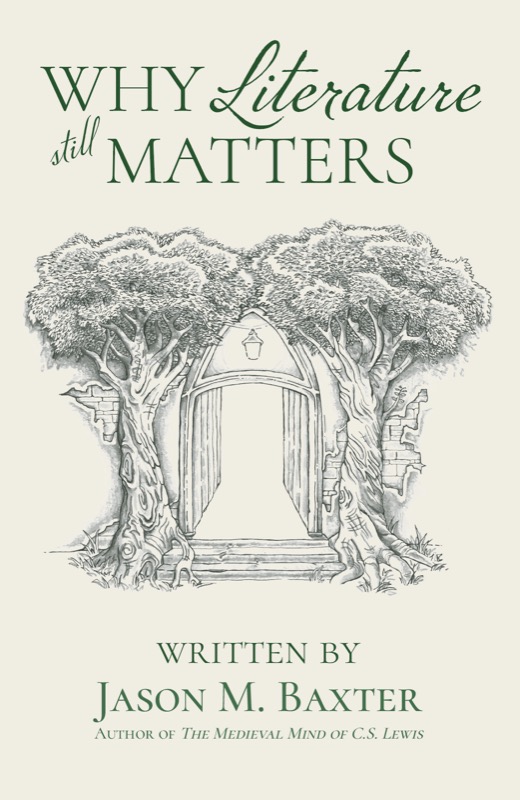 Cover of Why Literature Still Matters